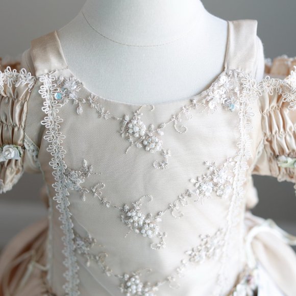 Flower Girl Dress Party Royal Princess Champagne Light Gold Girls Size 4 - Picture 4 of 6